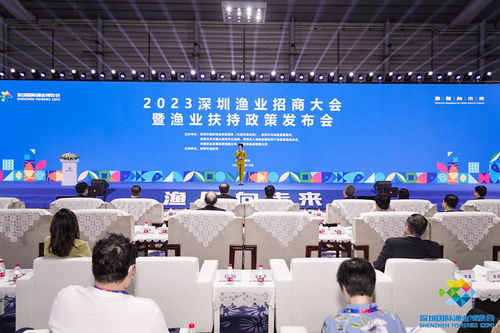 深圳大鹏新区沙鱼涌 现代渔港经济区扬帆启航，耕牧“蓝色粮仓”新篇章